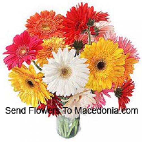 19 Cute Mixed Gerberas