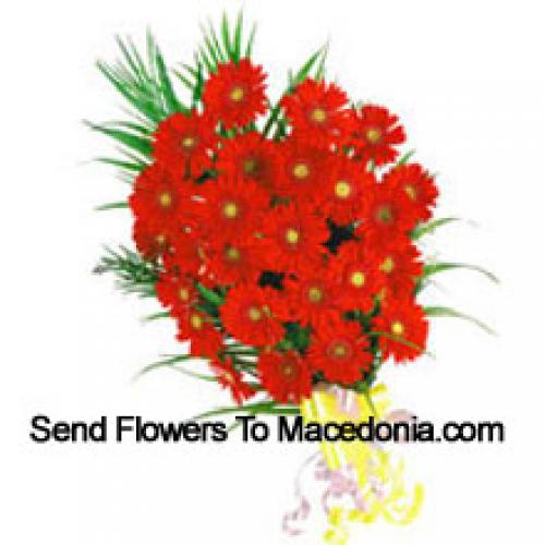 25 Exotic Red Gerberas