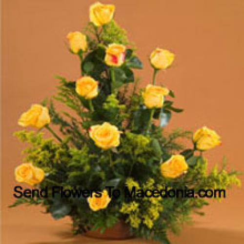 11 Charming Yellow Roses