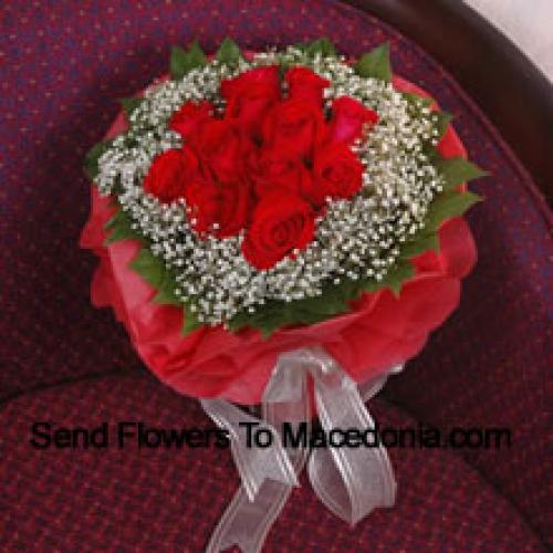 11 Appealing Red Roses