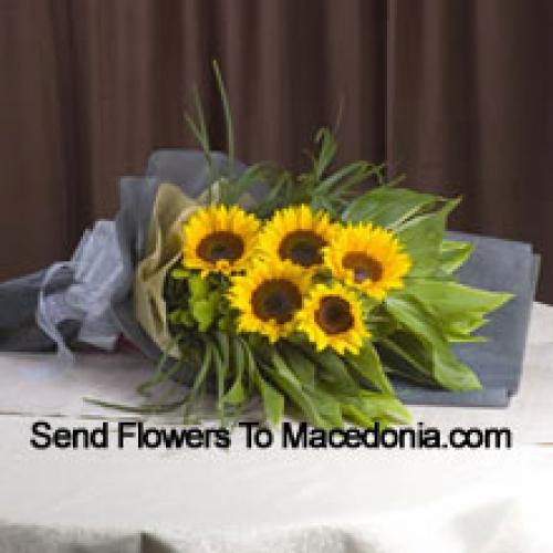 Handpicked Sunflowers Bunch