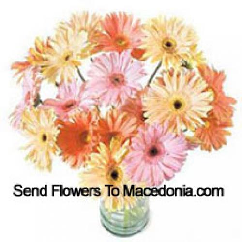 25 Fancy Assorted Gerberas