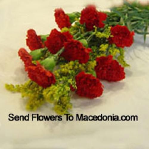 9 Beautiful Red Carnations