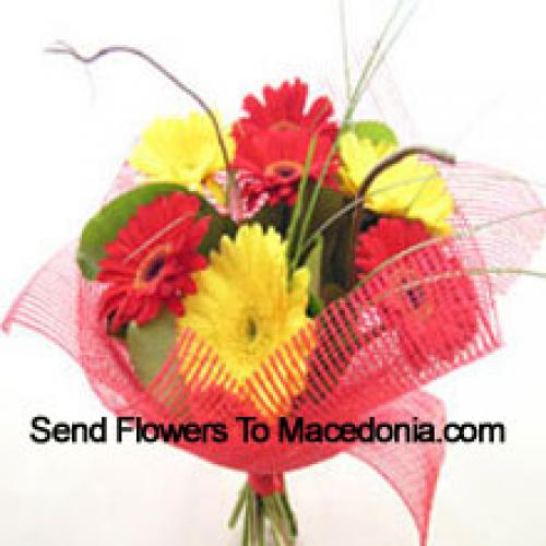 Cute Mixed Gerberas