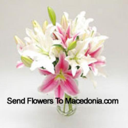 Multicoloured Lilies in Vase